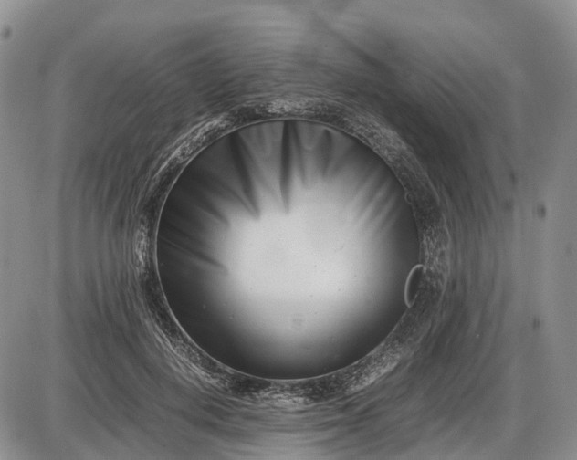 X0000085210648200703231508