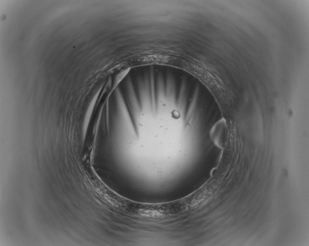 X0000085210649200703231508