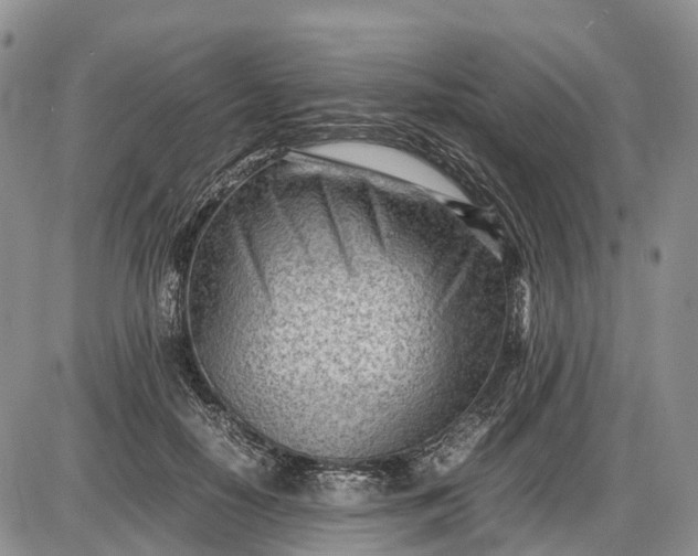 X0000085210650200703231508