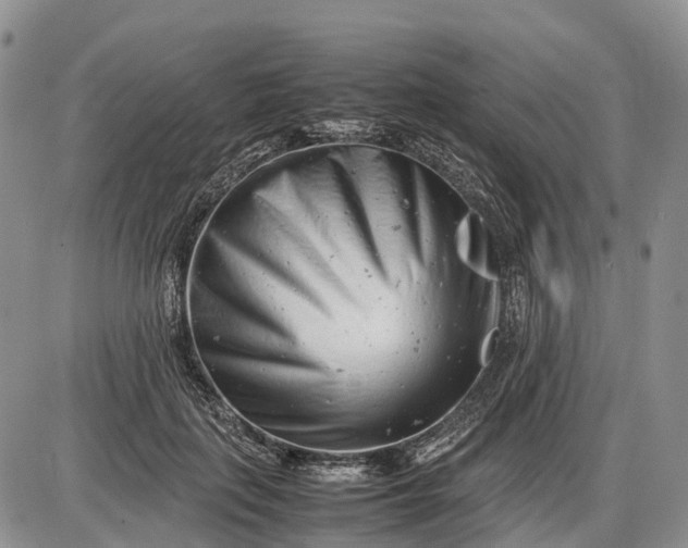 X0000085210651200703231508