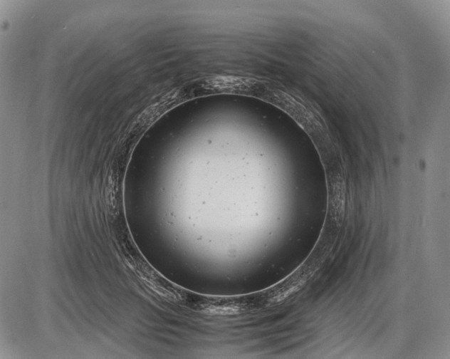 X0000085210653200703231508