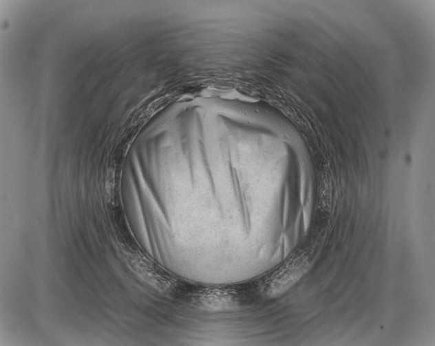 X0000085210656200703231508