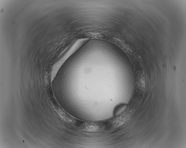 X0000085210658200703231508