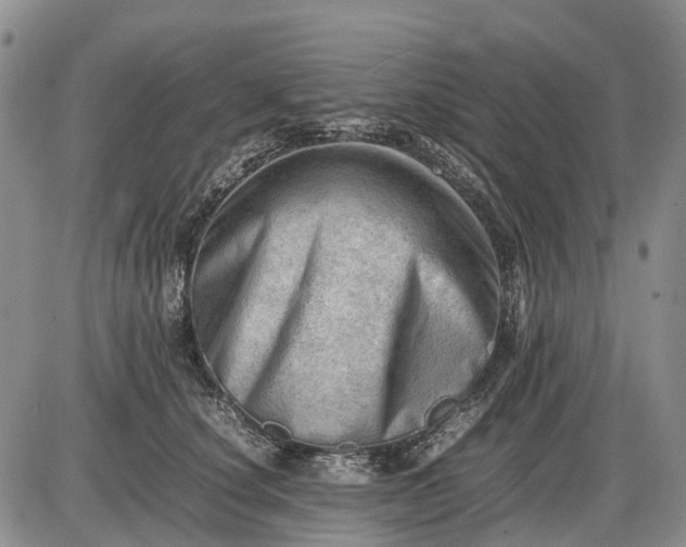 X0000085210660200703231508