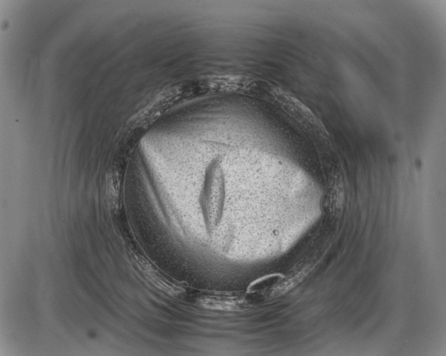 X0000085210661200703231508