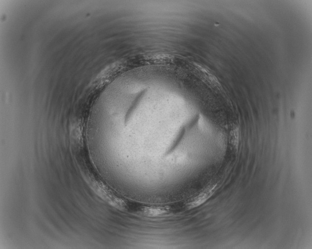 X0000085210662200703231508