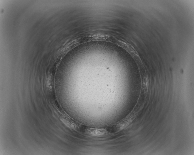 X0000085210663200703231508