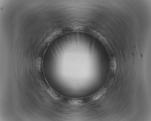 X0000085210664200703231508