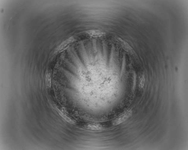 X0000085210666200703231508