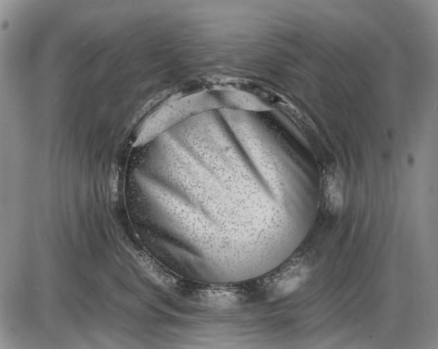 X0000085210668200703231508