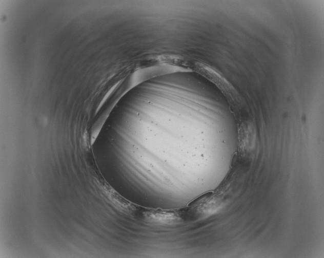 X0000085210669200703231508