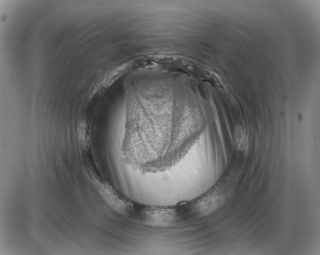 X0000085210670200703231508