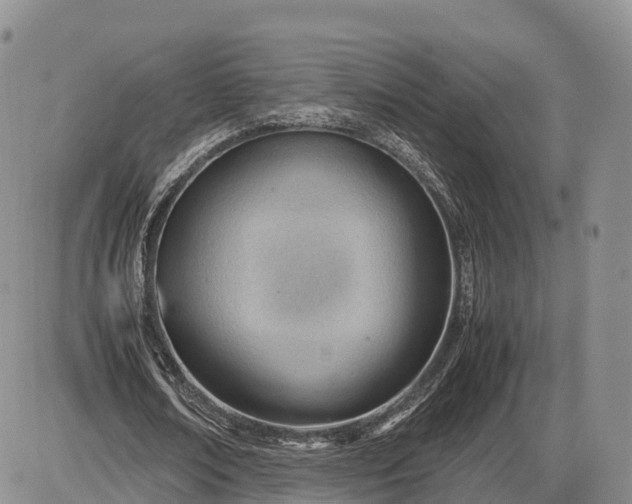 X0000085210674200703231507