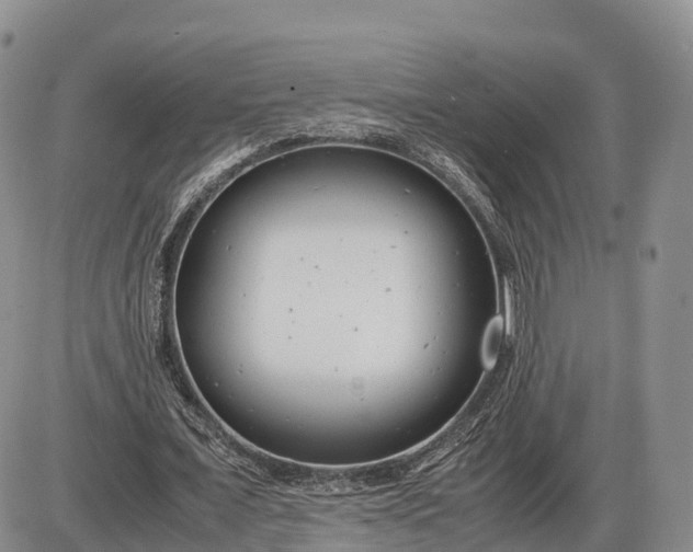 X0000085210675200703231507