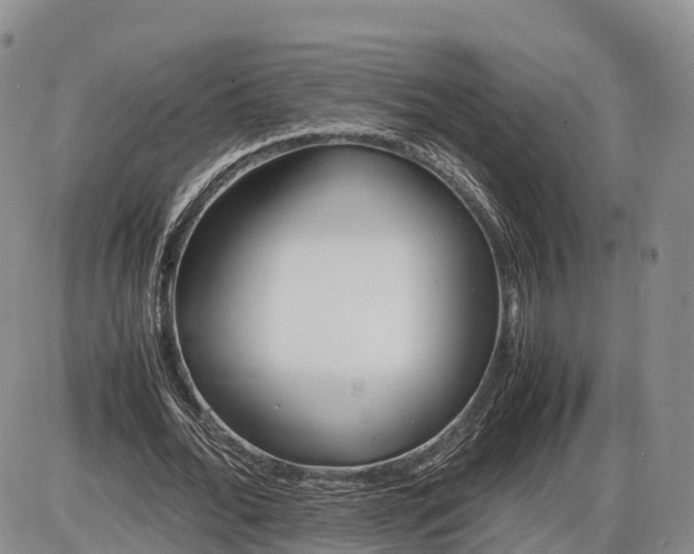 X0000085210676200703231507