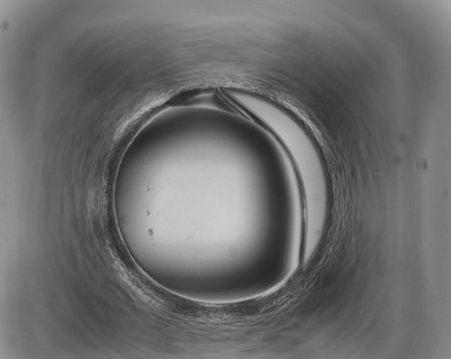 X0000085210677200703231507