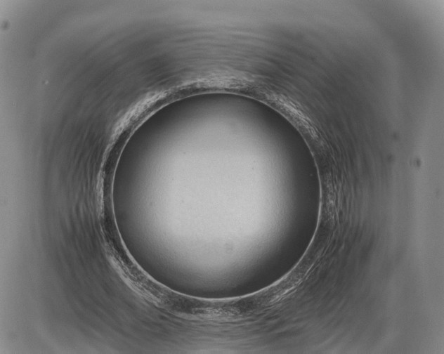 X0000085210678200703231507