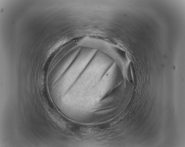 X0000085210679200703231507