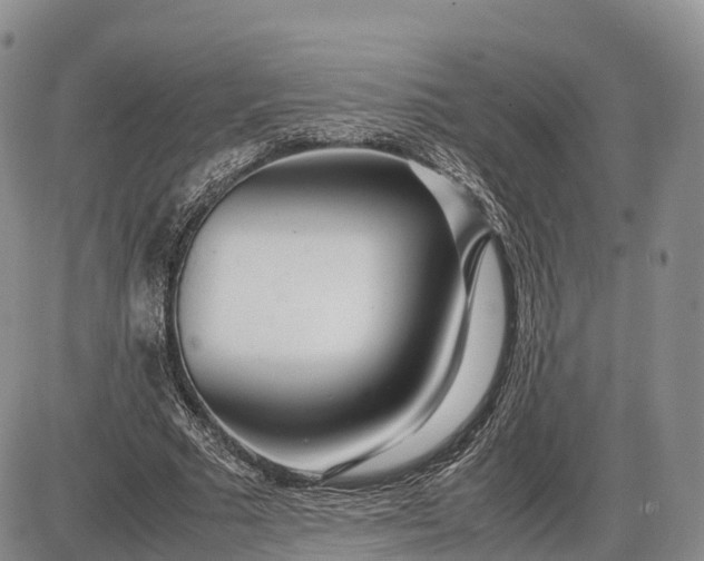 X0000085210681200703231507