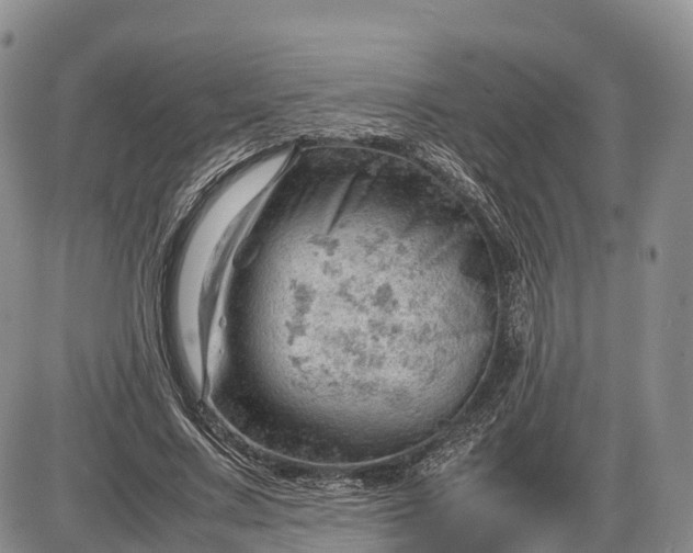 X0000085210683200703231507