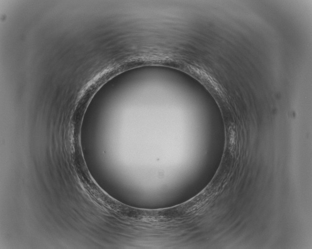 X0000085210684200703231507