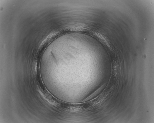 X0000085210686200703231507