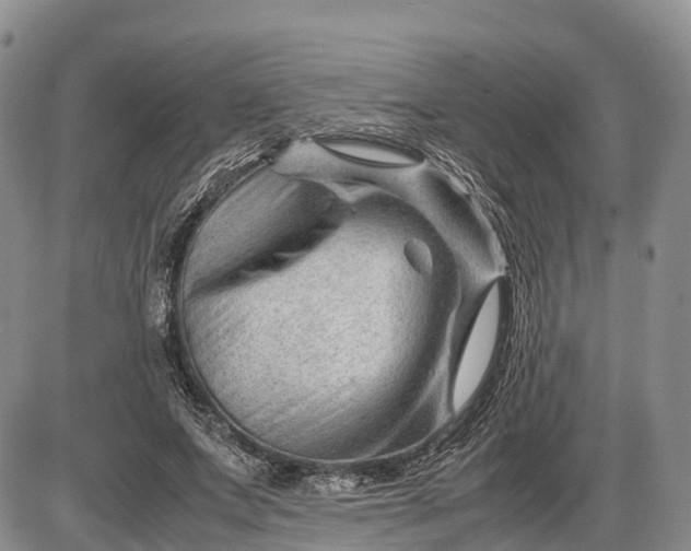 X0000085210687200703231507