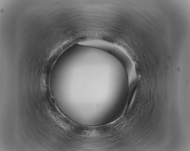 X0000085210688200703231507