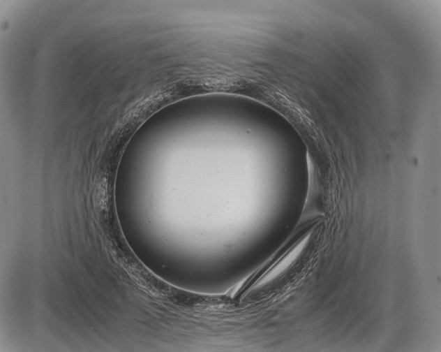 X0000085210689200703231507