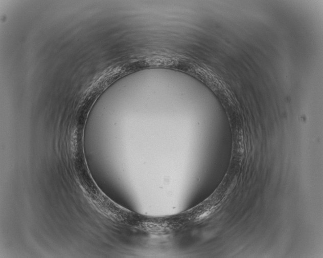 X0000085210690200703231507