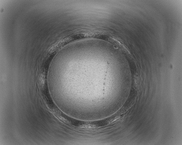 X0000085210691200703231507