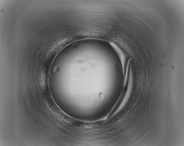 X0000085210692200703231507