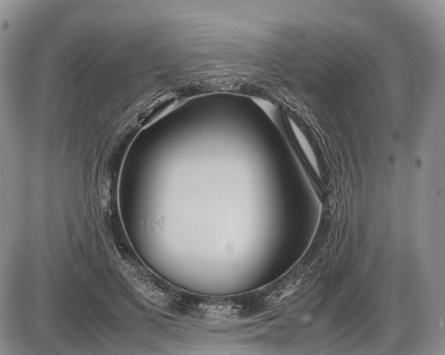 X0000085210693200703231507