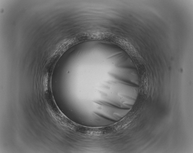 X0000085210694200703231507