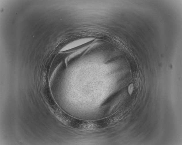 X0000085210695200703231507