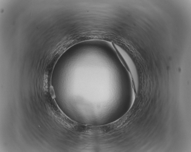 X0000085210696200703231507