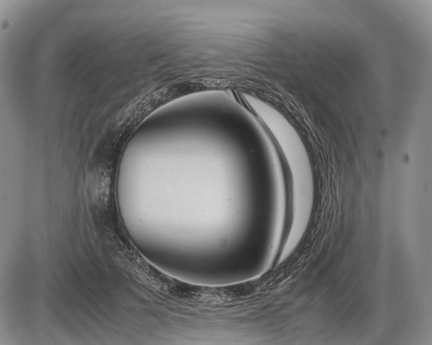 X0000085210697200703231507