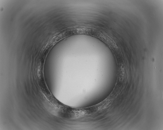 X0000085210698200703231507