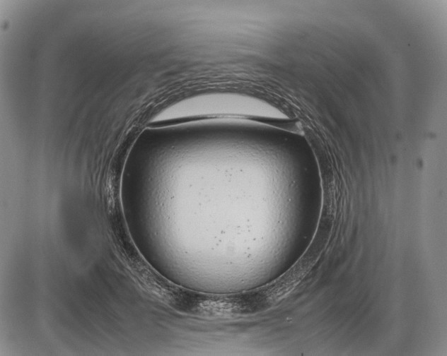 X0000085210699200703231507