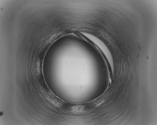 X0000085210700200703231507