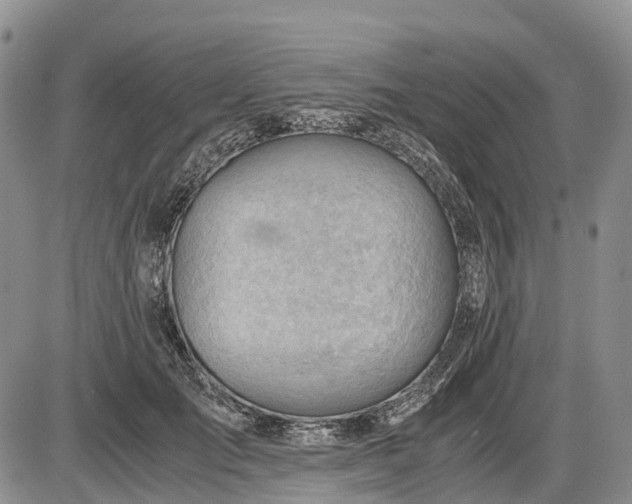 X0000085210701200703231507