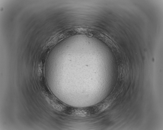 X0000085210702200703231507