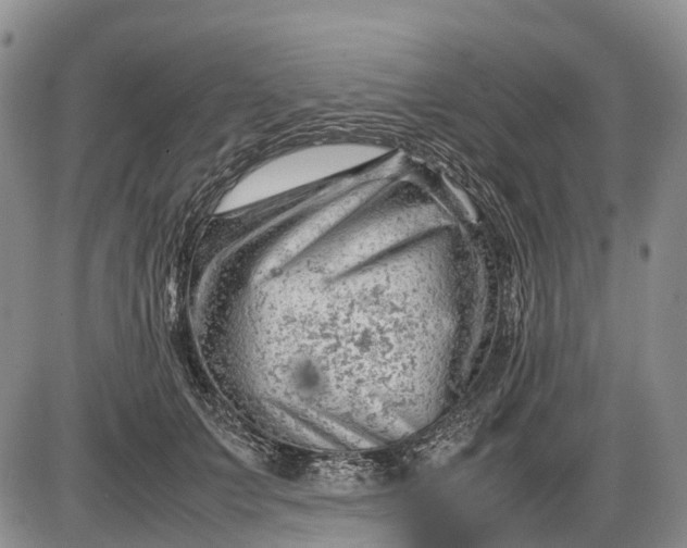 X0000085210703200703231507