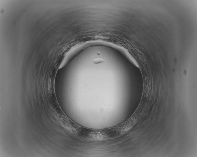 X0000085210704200703231507