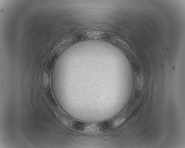 X0000085210705200703231507