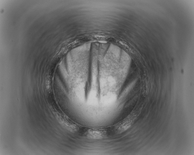 X0000085210706200703231507