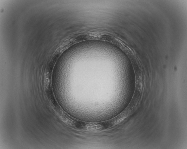 X0000085210707200703231507