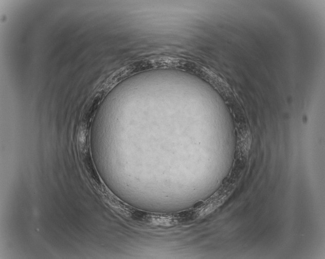 X0000085210709200703231507