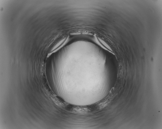 X0000085210712200703231507