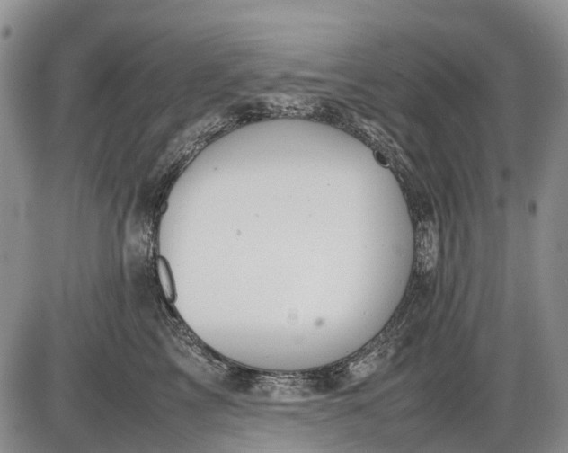 X0000085210713200703231507